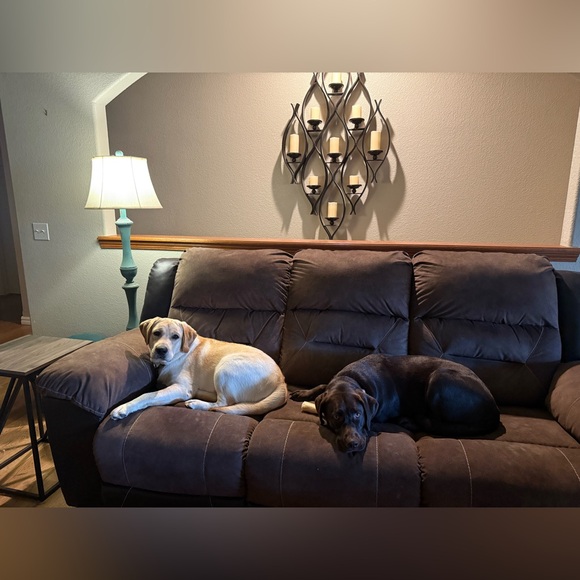 Meet your Posher, Desiree - Picture 8 of 8